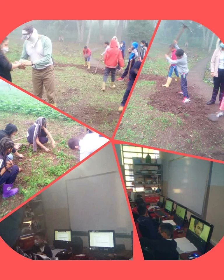 Esta semana se da inicio al P.A "La naturaleza nos enseña" donde se busca concientizar sobre el cuidado del  ambiente, así como también realizar por medio de material reusable diversos inventos y experimentos; que desarrollen la creatividad de nuestros estudiantes