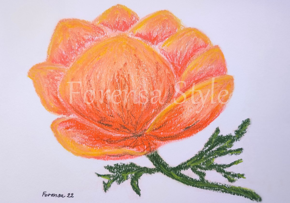 ForensaStyle's tweet photo. πΈ Floral mood π· ...
(soft pastels on paper)
#forensastyle #floralmood #artforthesoul #feelgoodart #happyart #softpastelart #flowerdrawing #springcolors #flowers https://t.co/ZOEMrUvVub