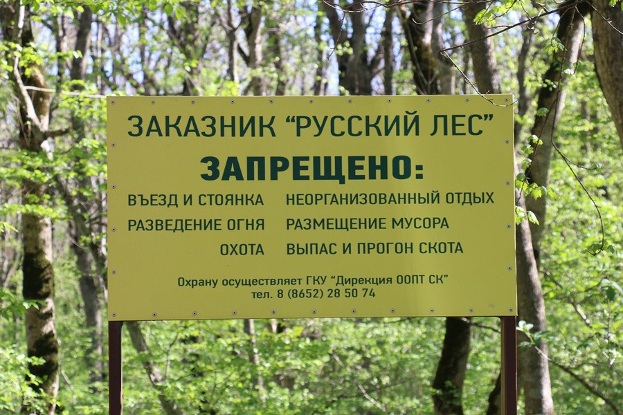 Кому нужна дорога через Русский лес opengaz.ru/stat/komu-nuzh… #Ставрополье  #власть #суд #закон #общество <a href="/Genproc/">ГП РФ</a> @sledcom_rf #МВД <a href="/mvd_official/">Сайт МВД России</a> #ФСБ #Кремль #ЕР #Госдума