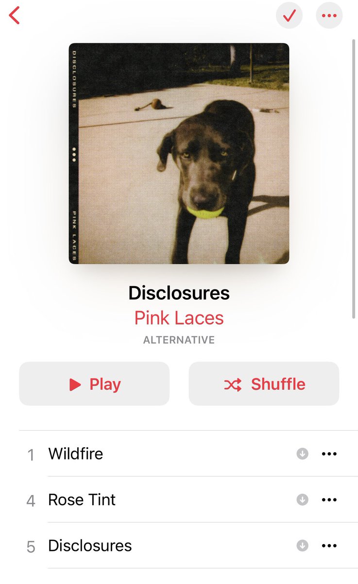megspptc's tweet photo. @DonnieWahlberg @pinklacesmusic Itβs a fantastic album!!!!! Happy to have new #PinkLaces music to listen to!!!!! #Disclosures https://t.co/4okc7BUnx1