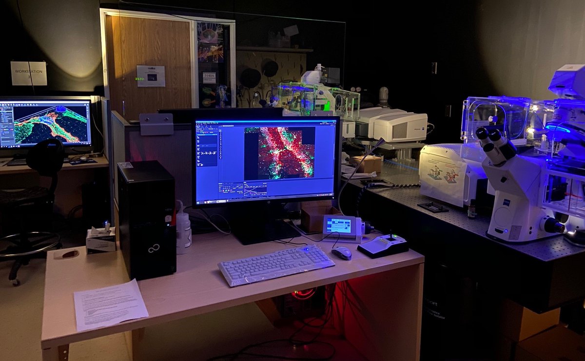InnovationNAV's tweet photo. #LaboVendredi 
Le Plateforme technologique de biologie cellulaire et d'acquisition d'images @uOttawa offre des microscopes perfectionnés, des outils d’analyse d’image de pointe ainsi qu’un soutien technique afin de faciliter votre recherche en microscopie👉https://t.co/0bsqmph4ja https://t.co/cw85VlnvRl