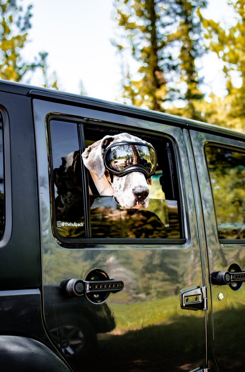 The Hull Pack tweet media