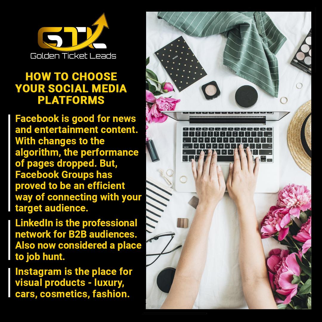 GTLMachine's tweet image. Tap into the power of social media. Allow us to help you choose the right one!

🌐 goldenticketleadsmachine.com/blueprint-dire…

#marketing #business #marketingdigital #digitalmarketing #branding #socialmedia #entrepreneur #socialmediamarketing #instagram #design #advertising