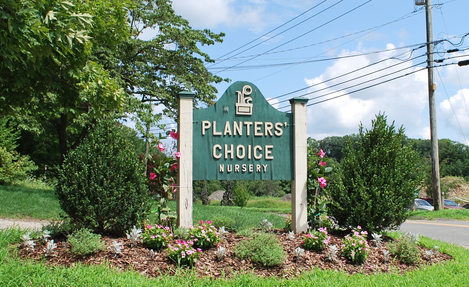 Planters' Choice on Twitter "Today Planters' Choice celebrates 52