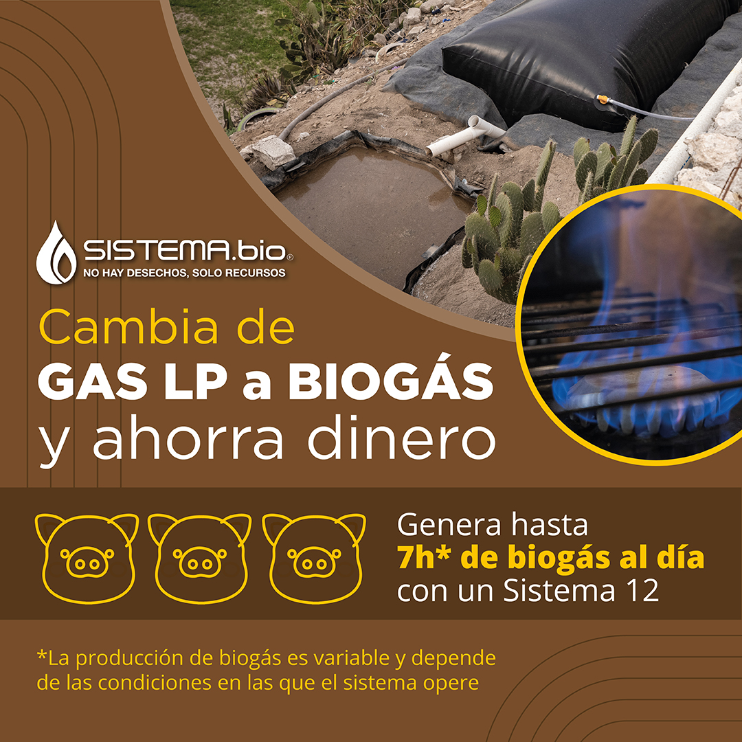 ¿Te has preguntado cuánto dinero te puedes ahorrar con un biodigestor? Si vives en un clima templado y tus cerdos producen 3 cubetas (60L) de estiércol al día, puedes generar hasta 7h* de biogás diarios con un Sistema 12. 
#Biogás #EnergíaLimpia