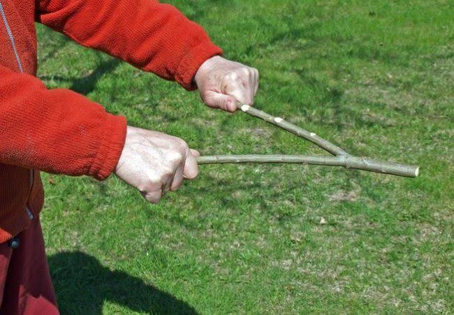 ходьба со скандинавскими палками методика. острая дубинка. лыжи и палки подбираются по. скандинавская ходьба с палками для похудения. проволока для поиска воды.