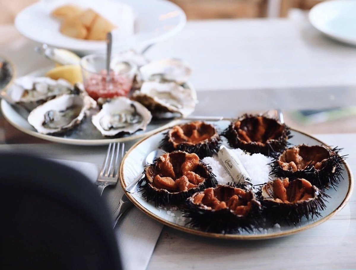 WoW_Agence's tweet photo. Le projet digital et gourmand au cœur du village des Goudes.

@WoW_Agence pour la Marine des Goudes ☀️

#Marseille #CommunicationDigitale https://t.co/lVPKMIBjUg
