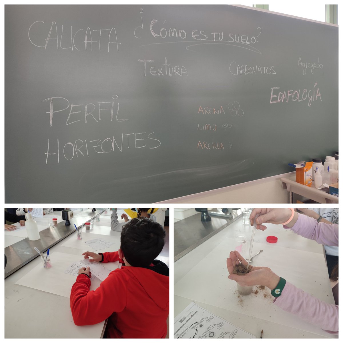 Ruthcms's tweet photo. Terminamos la semana con los alumnos de 6° de primaria del @blas_ceip y nuestro taller ¿Cómo es tu suelo? #somosIUFOR #soyforestal #WomenInScience #divulgación https://t.co/U2FemvznMZ