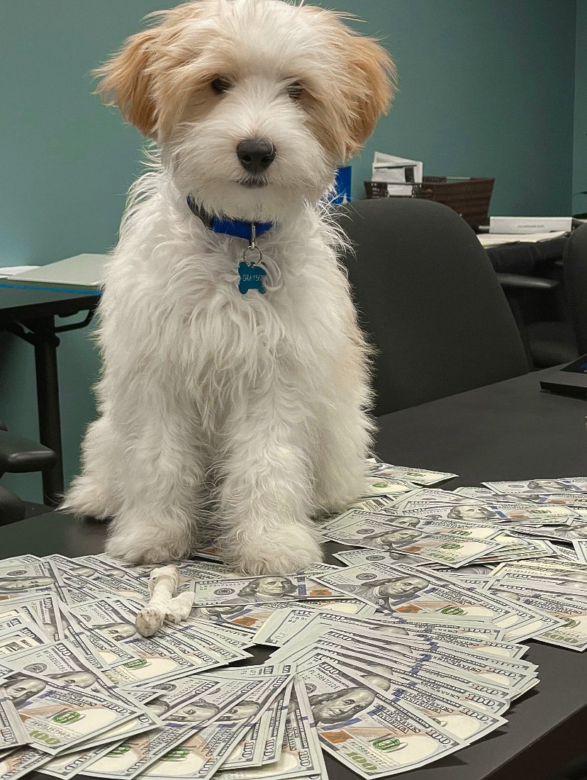 Grayson’s Chief Fun Officer duties for today: getting excited about awarding the first of four $100,000 checks to APQC's C. Jackson Grayson scholarship recipients next week! Stay tuned! #TeamAPQC has some exciting times ahead 🎓💸