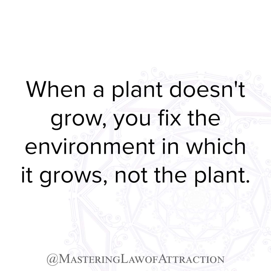 THEECRABPITT's tweet photo. https://t.co/TexUEowKgl