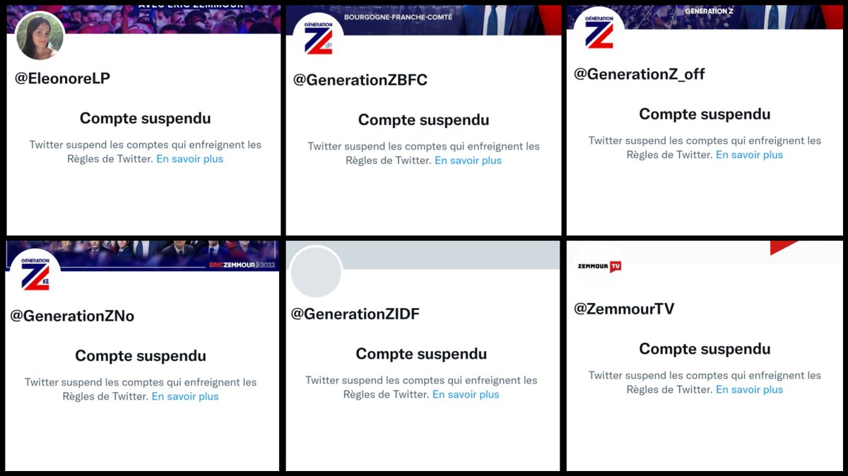 GilbertCollard's tweet photo. Le compte de #GénérationZ et plusieurs comptes de militants de #Reconquête ont été supprimés par Twitter : et on veut donner des leçons de liberté d'expression ? #STOPCensure ! https://t.co/CWa3nDHWBX