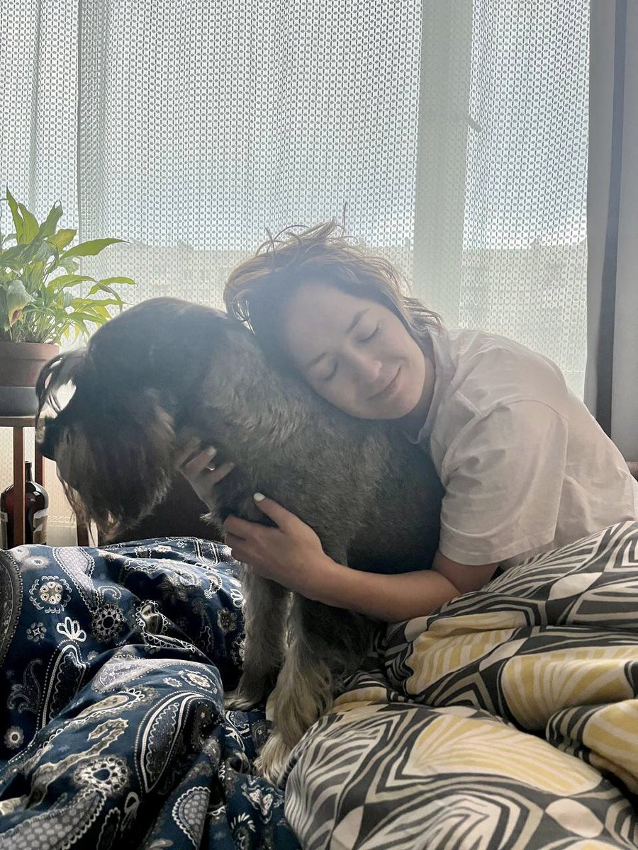 Emotional support human