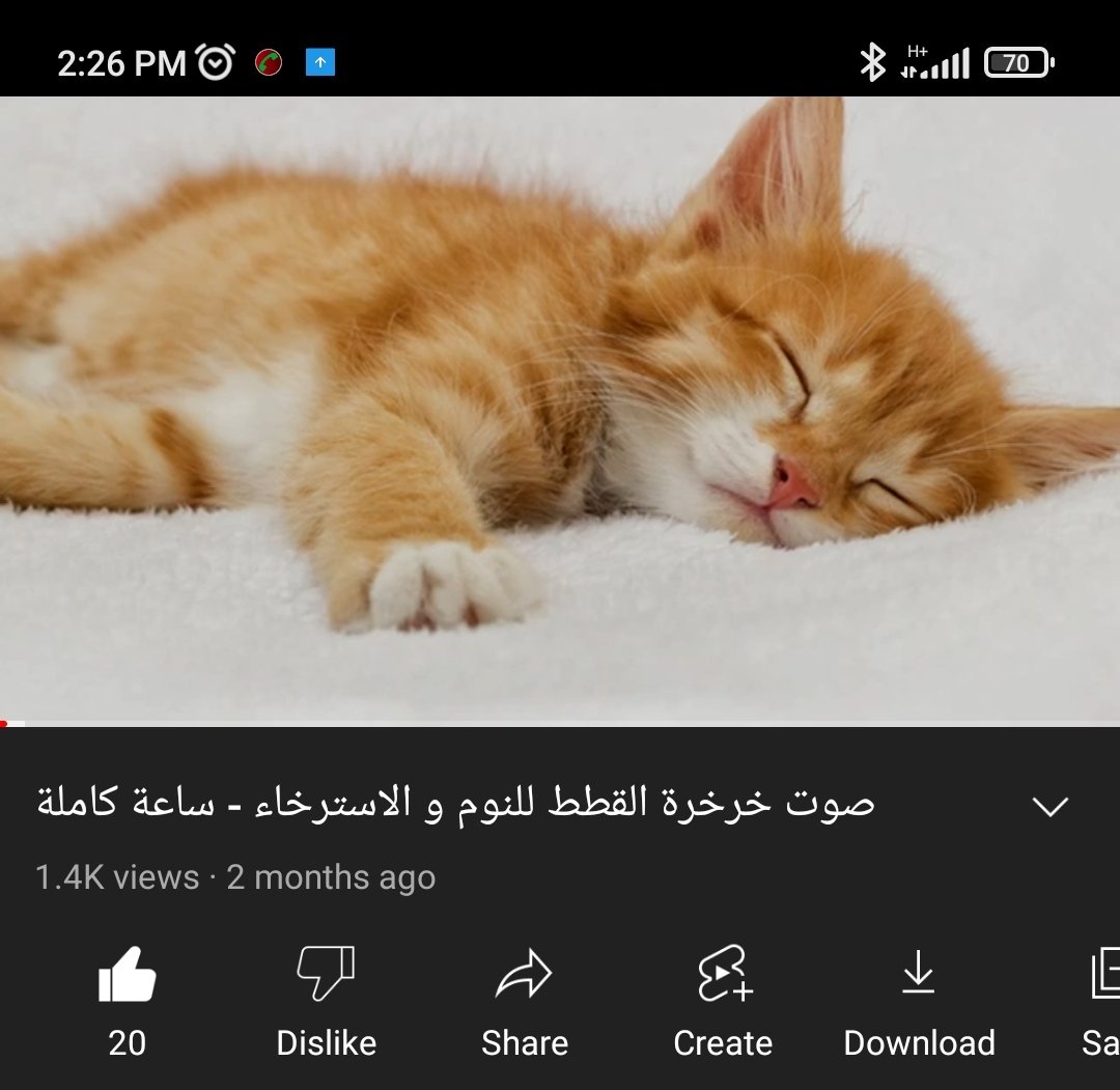 الدنيا مقلوبة والناس بتصيح ع الاقتراحات والتكليف والزمالة والتصويت
أنا في اليوتيوب: