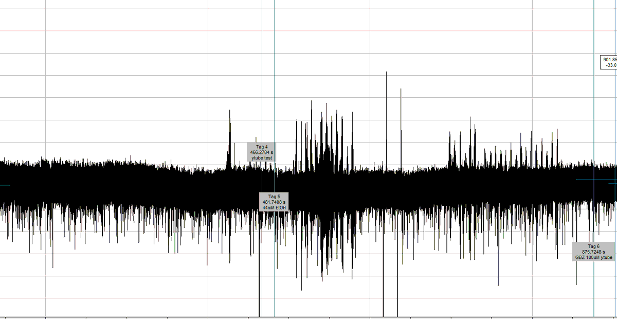 superrsema's tweet image. and here you&apos;ll see a representative trace of when someone comes near the rig with a cell phone during drug application #ephystwitter