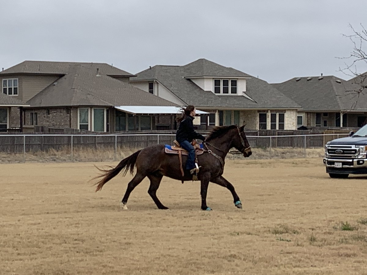 StrausCounseling tweet media