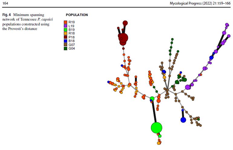 PlantDiseaseGuy's tweet photo. "Population structure of Phytophthora capsici in the state of Tennessee" now available - open access - from Mycological Progress. Check it out! Well done @epp_tn grad @TimSeeg, &amp; thanks Dr. Kurt Lamour for the huge help on genotyping.
https://t.co/TLiCujxePw https://t.co/cAZ9ohOHZm