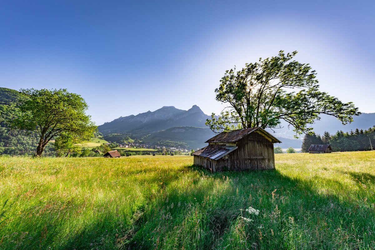 La Tome des #Bauges est la seule et unique Tome d’Appellation d’Origine Protégée ! 

Découvrez l'histoire de ce fromage du #terroir et les secrets de sa fabrication au coeur du Massif des Bauges, à cheval sur les 2 Savoie ➡️ bit.ly/35yWSqB