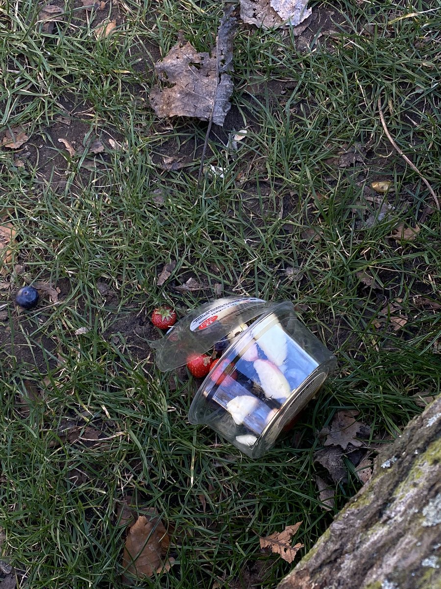 Gamer meal of the day:
Little assorted fruits.