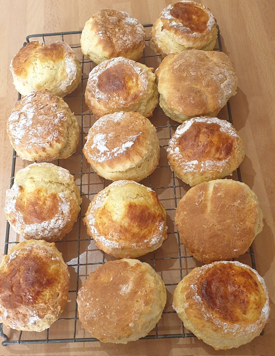 LettersFromTruro 〓〓🇫🇷💙🏊‍♀️ tweet media