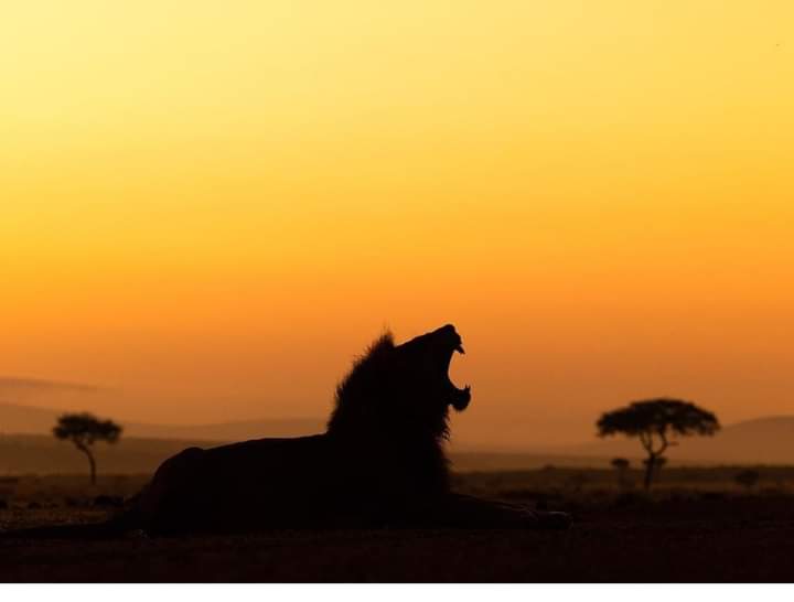 Leadekei Alois (@alois_leadekei) on Twitter photo 