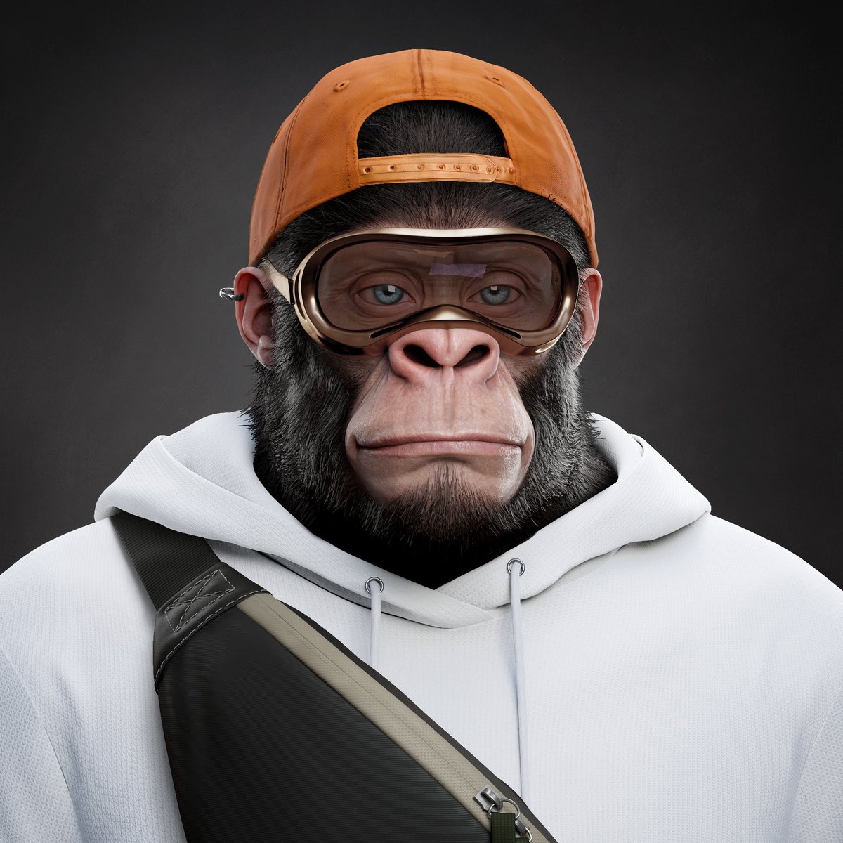 Anonymous tweet media