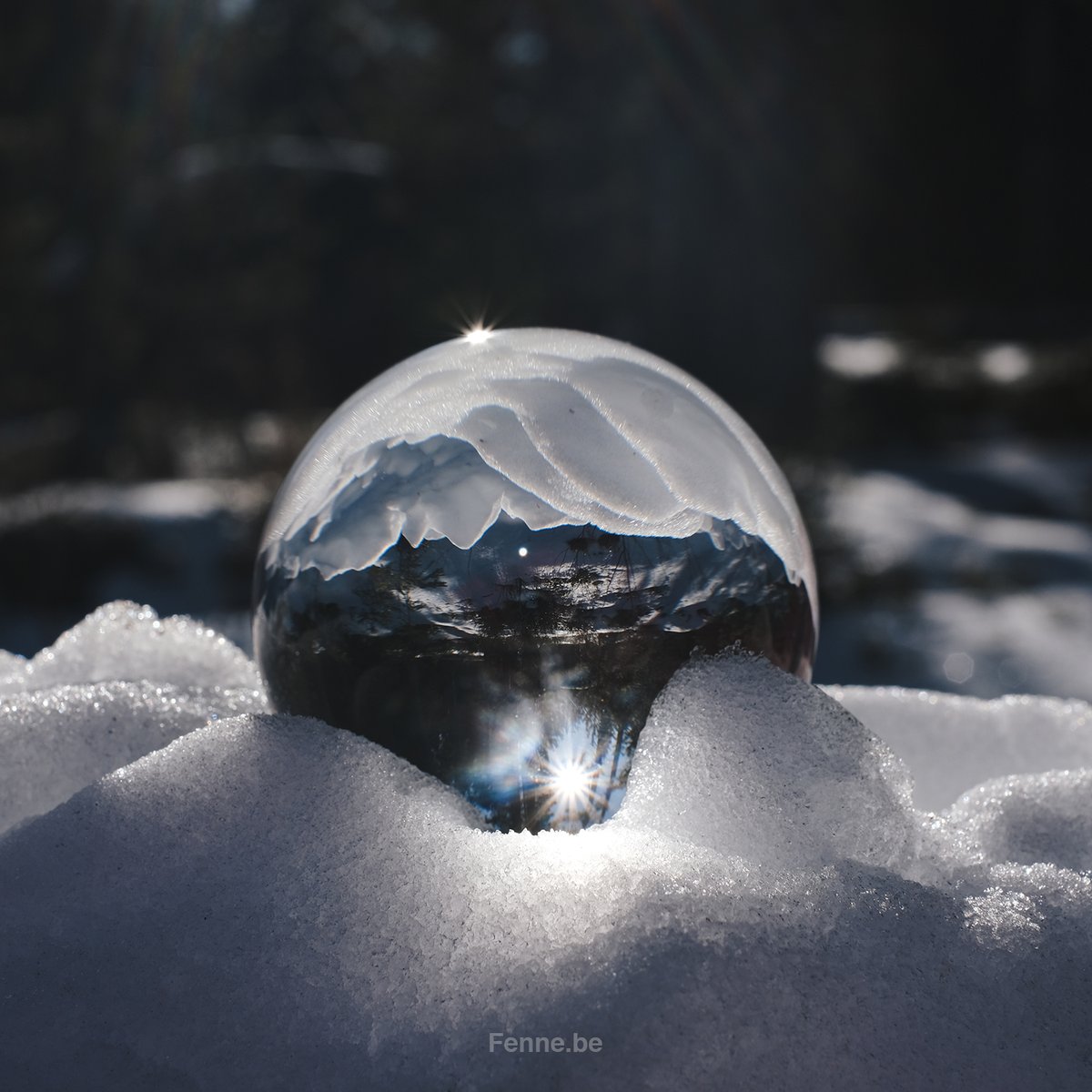 Snow globe :-) #snowday #naturephotography #mirrorless #nordicnature #glassballphotography