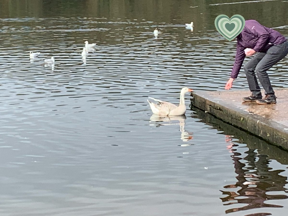 WorksWalking's tweet photo. We were lucky that the rain had stopped for our walk around the lake on Thursday and we all had a lovely time! 👣😊#walking #ConnectingActivelyToNature
#WalkYourWay #EveryoneNeedsNature https://t.co/5ykeZaAlDB