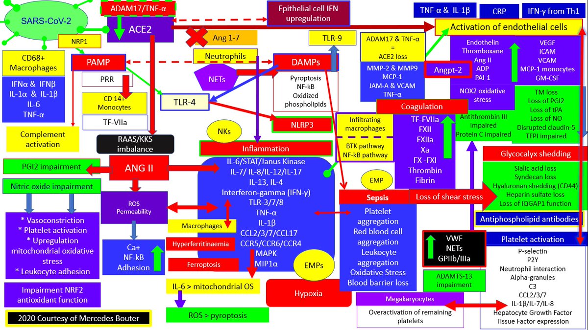 mr. Мэрсэдэ́с LL.M. 🪆 tweet media