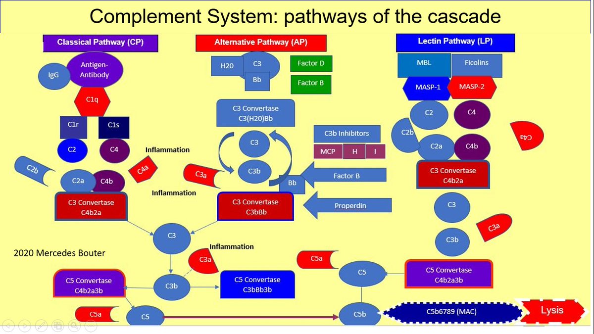 mr. Мэрсэдэ́с LL.M. 🪆 tweet media