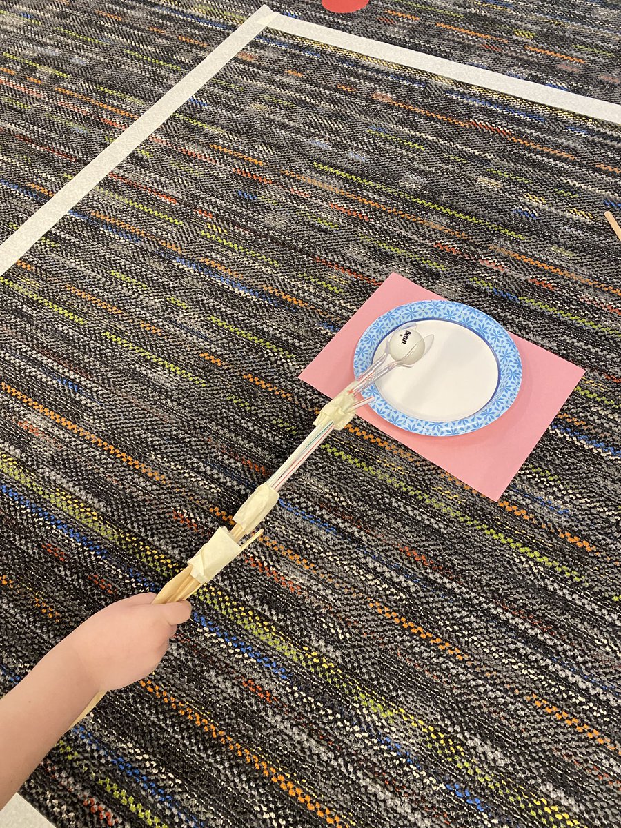 Delia Bush tweet media