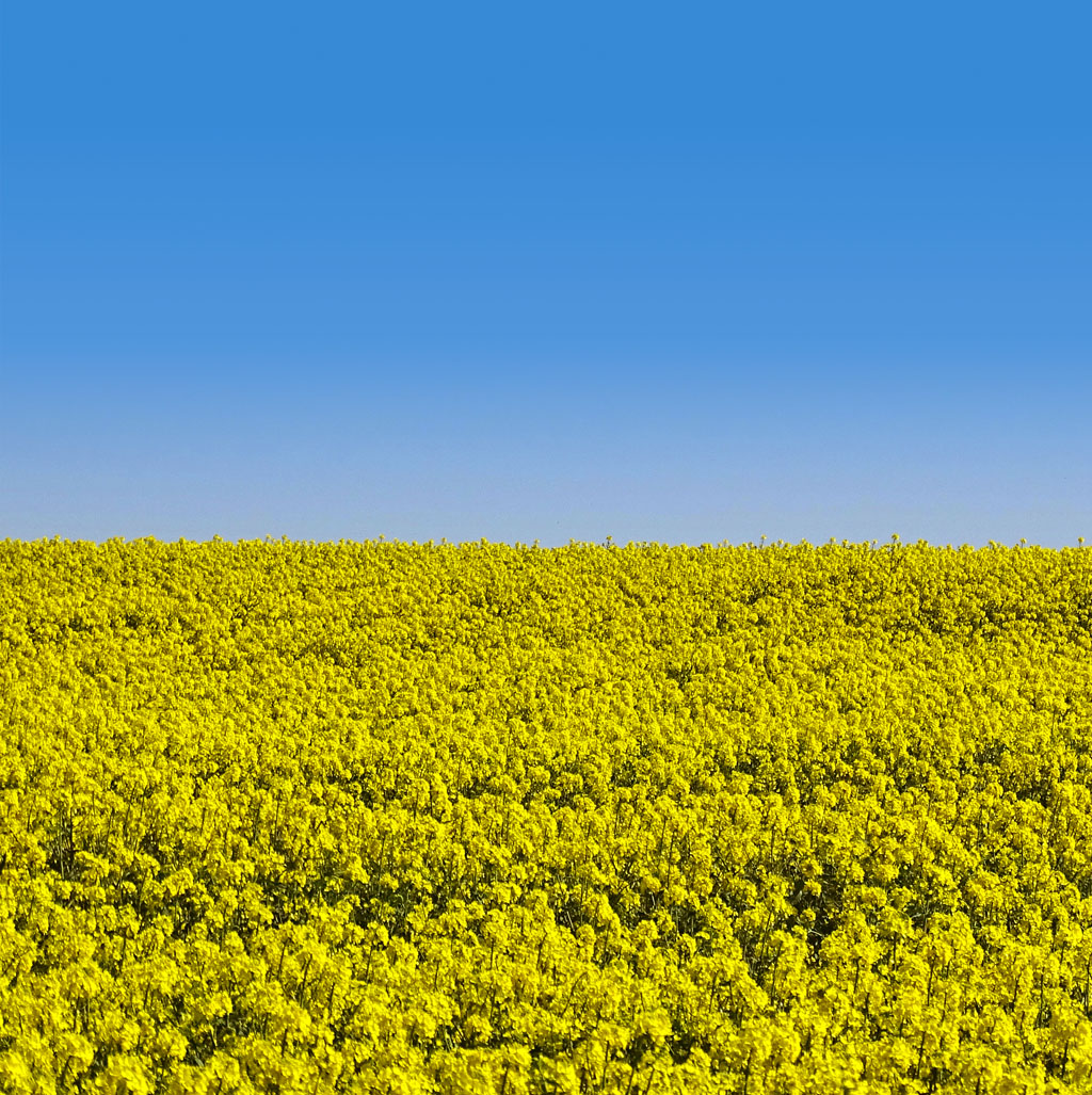 This week our team has raised over £2,000 through a staff sample sale for our local charity, Little Harbour Hospice, and the DEC to help all those affected by the situation in Ukraine. Join us in support here: donation.dec.org.uk/ukraine-humani…