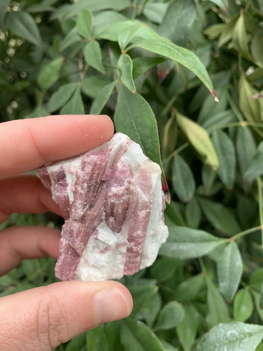 casswraps's tweet photo. i love raw crystals &amp; couldnt help myself from getting a bunch of raw stones for the shop! We got raw strawberry quartz and green aventurine from brazil, raw peach moonstone, raw pink tourmaline plus more ✨ https://t.co/KHvqTg1N9S https://t.co/FM2ZgNaAOC