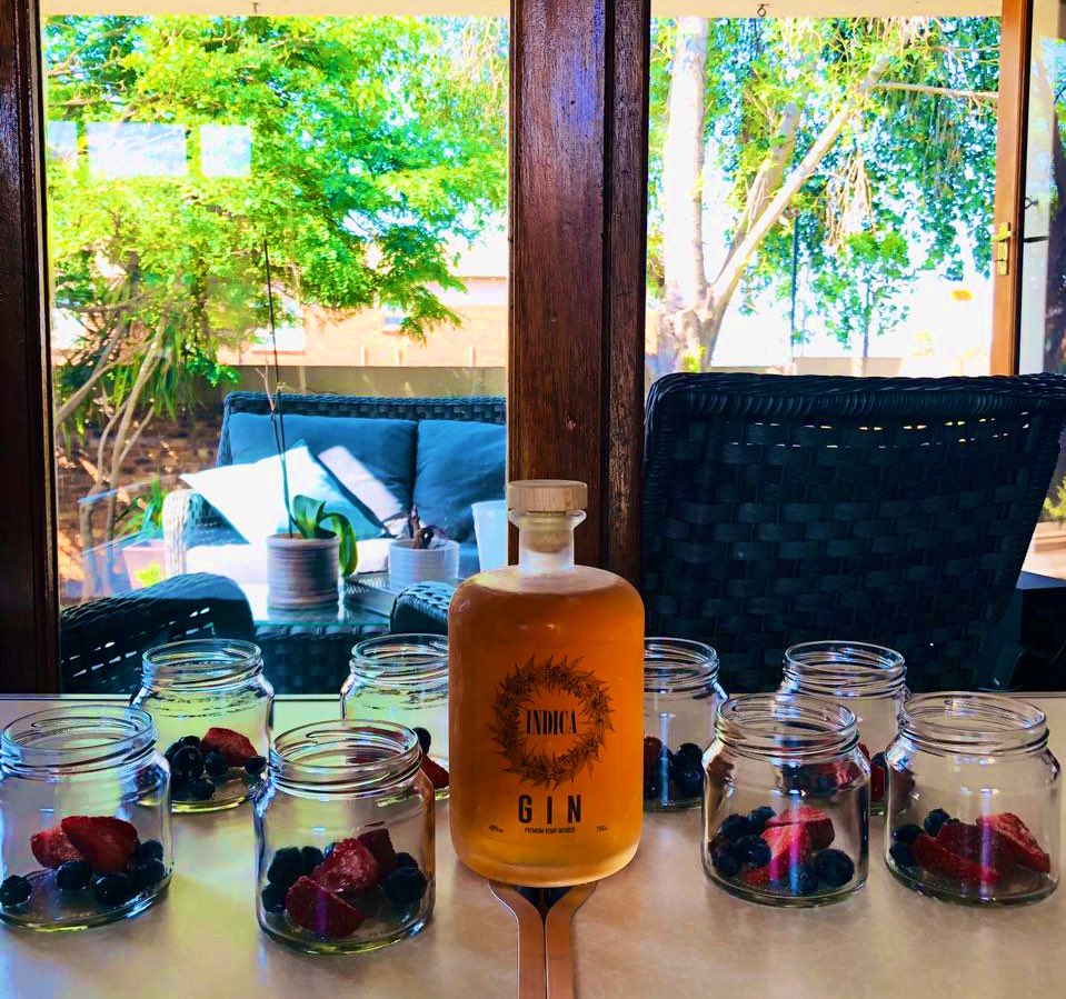 IndicaPremium's tweet photo. Let the weekend beGin 🍹+🌱.
#IndicaGin
#CannibasInfused
#CannibasCommunity
#Mmemberville 
#CGC 
#CanninasCulture https://t.co/afUYebuPCA