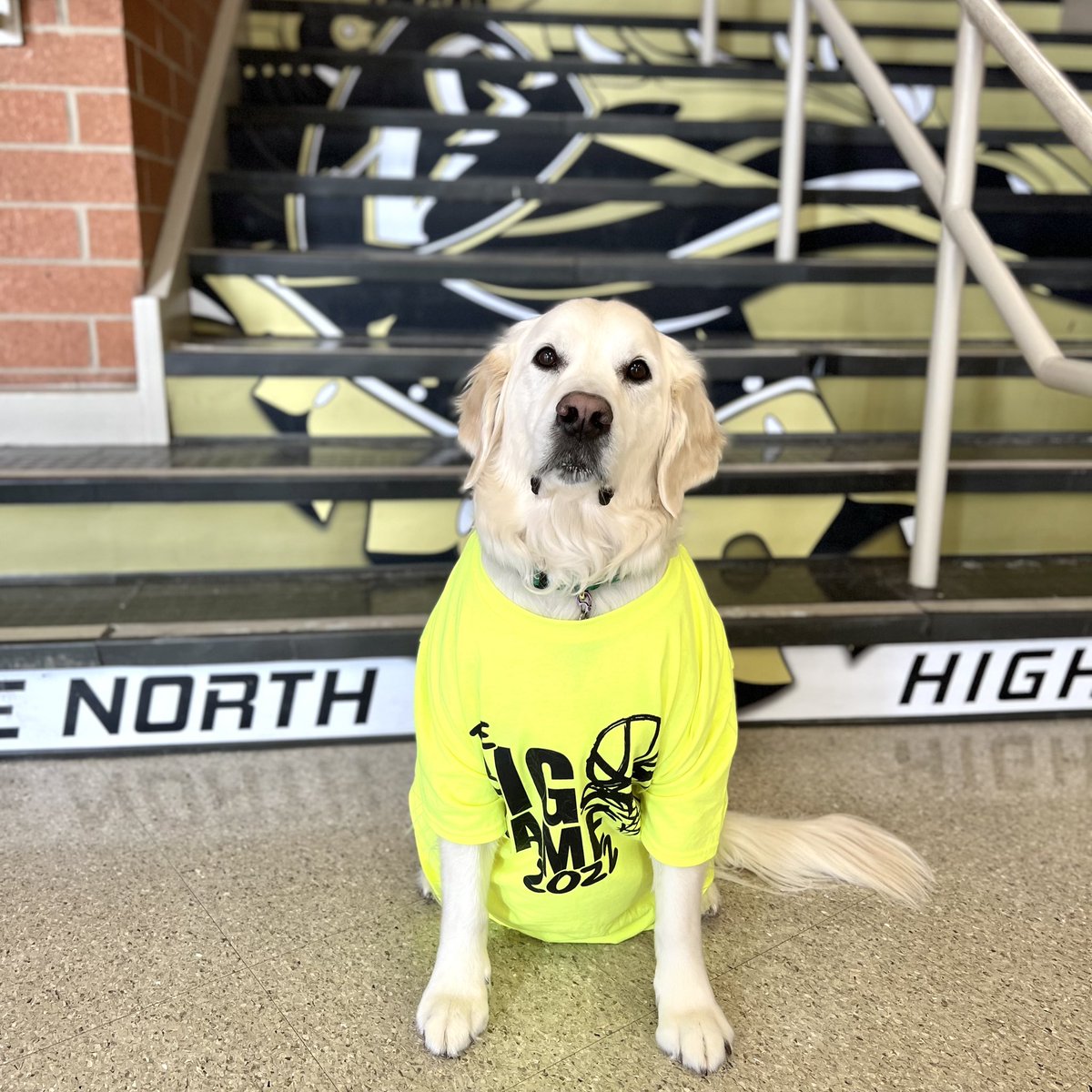Ready for the Big Game! @D127SpeOlympics <a href="/GrayslakeNorth/">Knight Pride</a> <a href="/GNHSAthletics/">GN Knights Athletics</a> <a href="/GNHSActivities/">GNHS Activities</a>