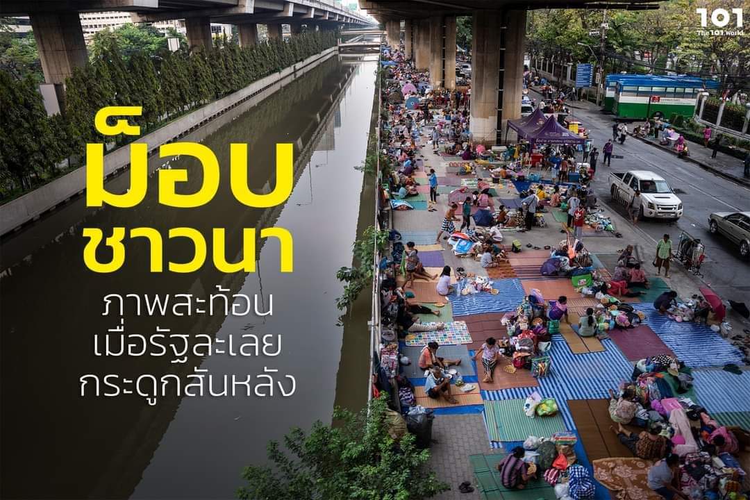 มะลิ. tweet media