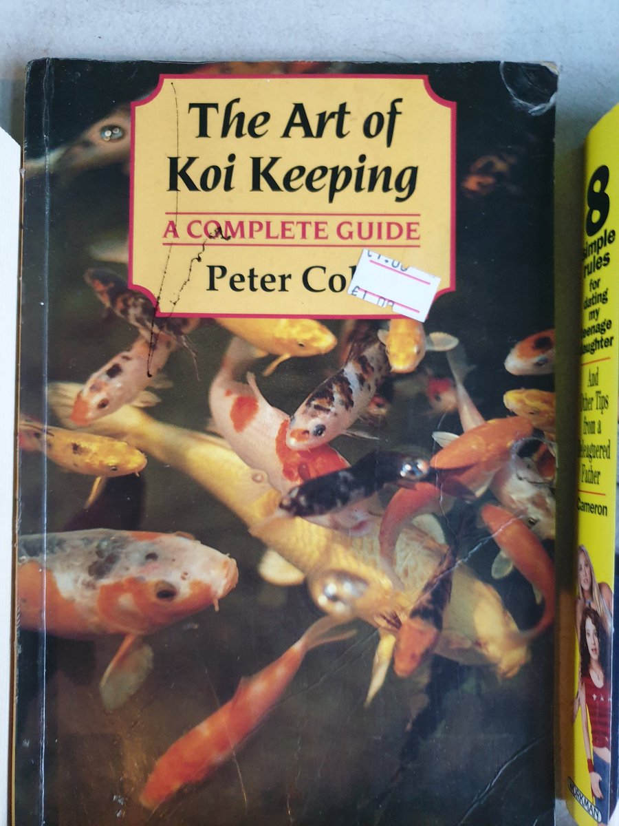 jwalkercomedy's tweet image. do i carp?