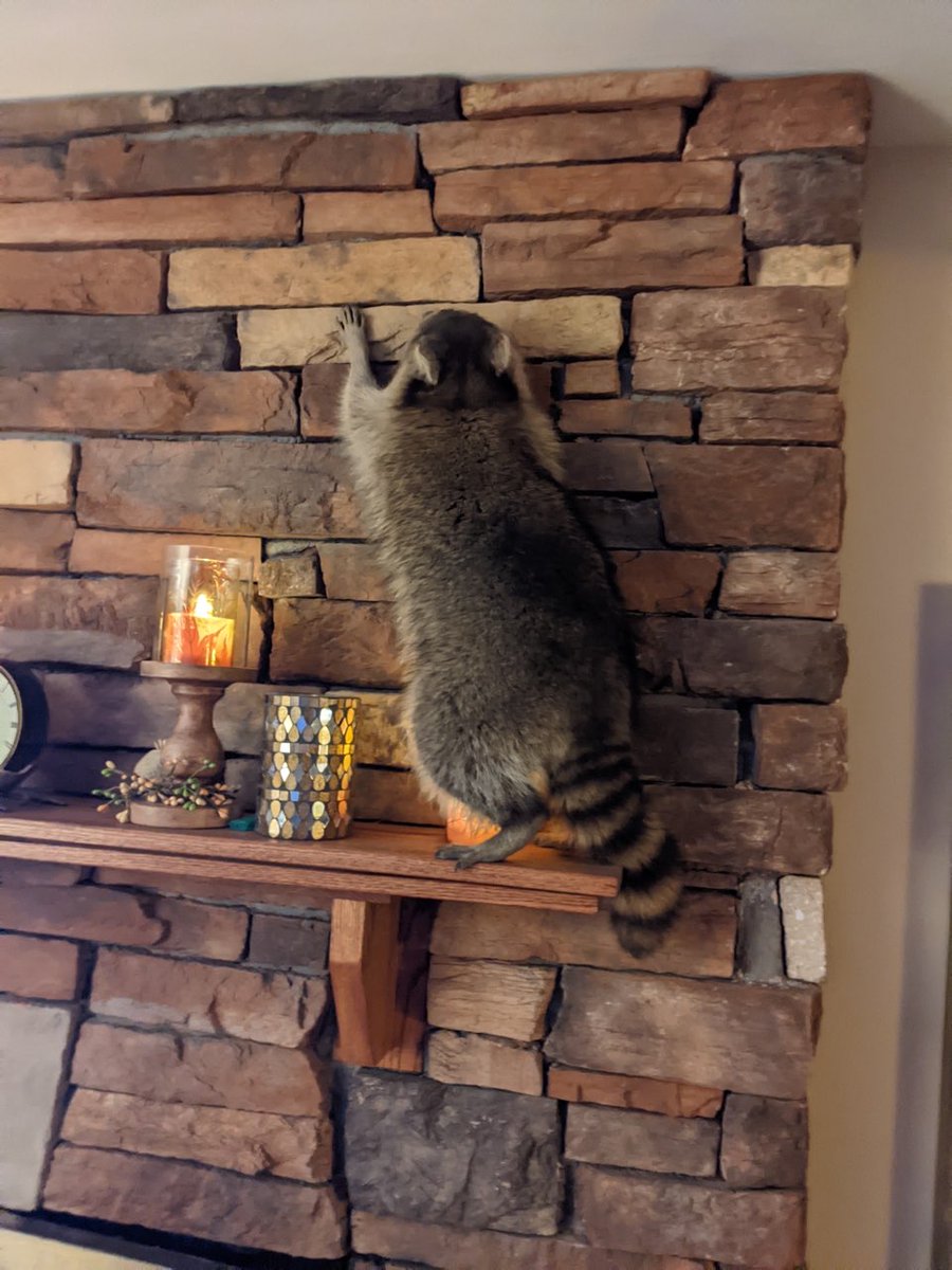 West Seneca Police tweet media