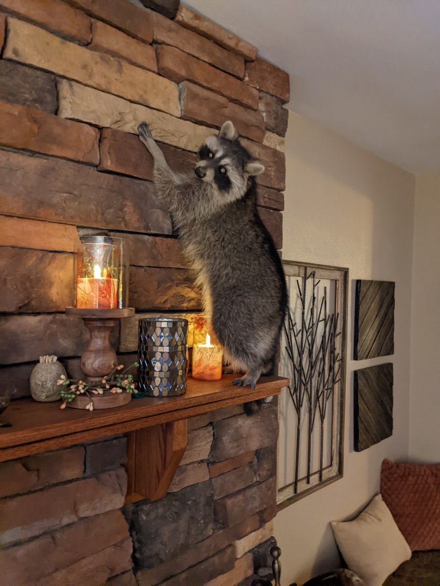 West Seneca Police tweet media