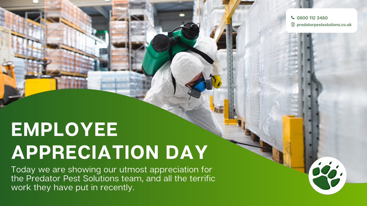 predatorlondon's tweet photo. It's #EmployeeAppreciationDay 💚

We're saying THANK YOU to the wonderful team we've got here at Predator Pest Solutions. They truly put in some terrific work!

#employees #pestcontrol #london #pesticides https://t.co/mvZmR8XBhN