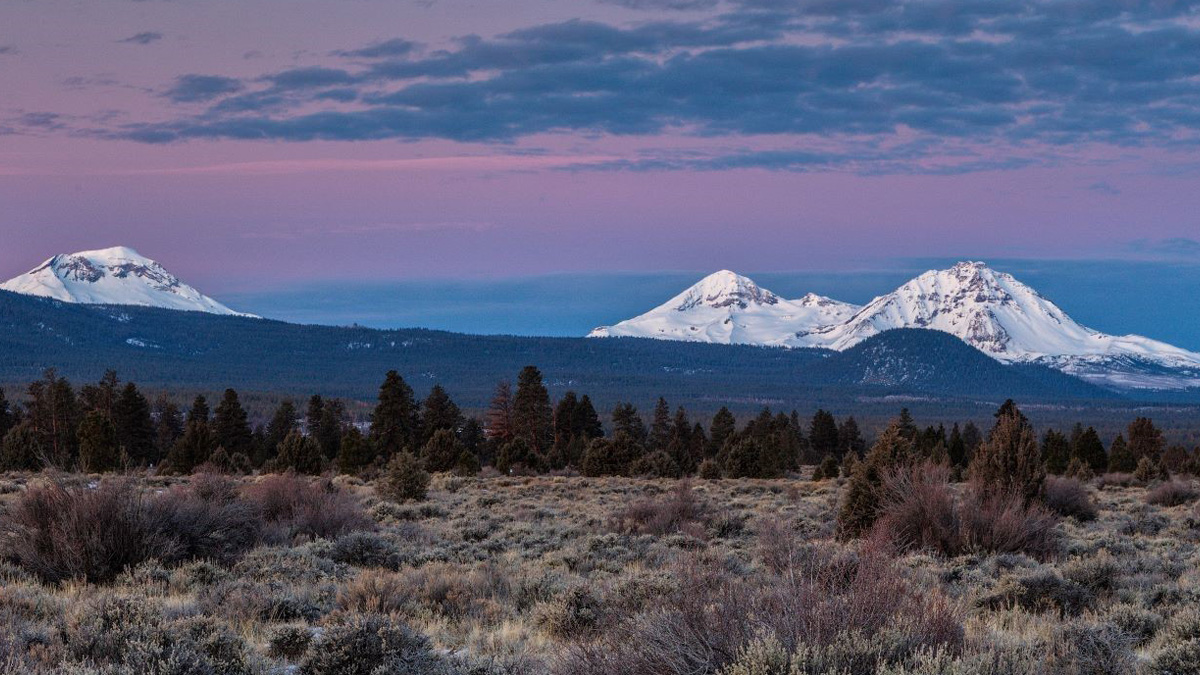 conservationall's tweet image. #FundedProjectFriday 
#GranteeSpotlight: @OregonLandWatch in Bend, OR
Recently Funded in 2021 - Skyline Forest Protection Project: To acquire and permanently protect the 33,000-acre Skyline Forest in Central Oregon and add it to the public trust. 
📸 Stu Gordon
#wekeepitwild