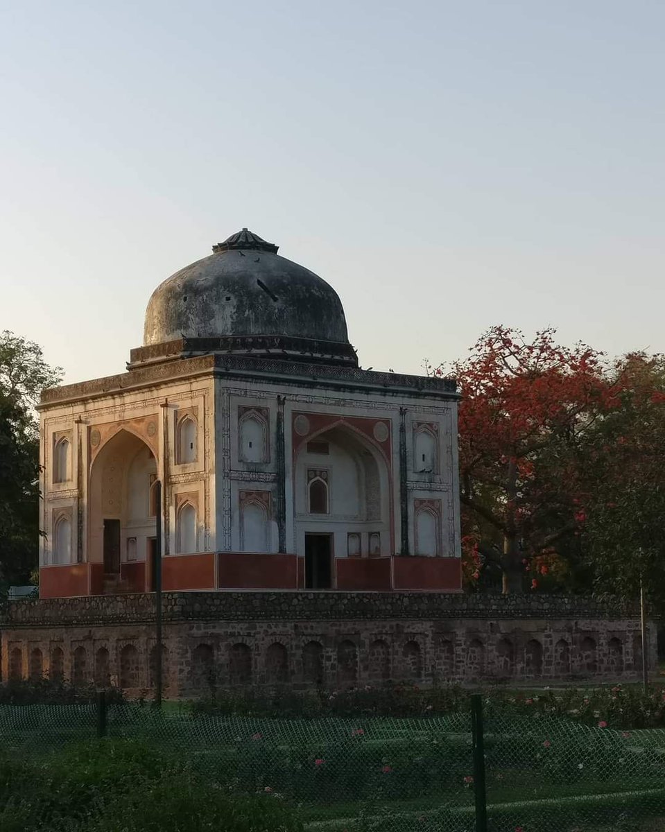 tikulli's tweet image. It's that time of year again when the Semul / Red Silk Cotton tree blooms. This sight at @sundernursery is breathtaking. One of my favourite Semul trees in Delhi. #Trees #SpringinDelhi #DelhiSpring #DelhiTrees #flowering #Semul #SunderNursery