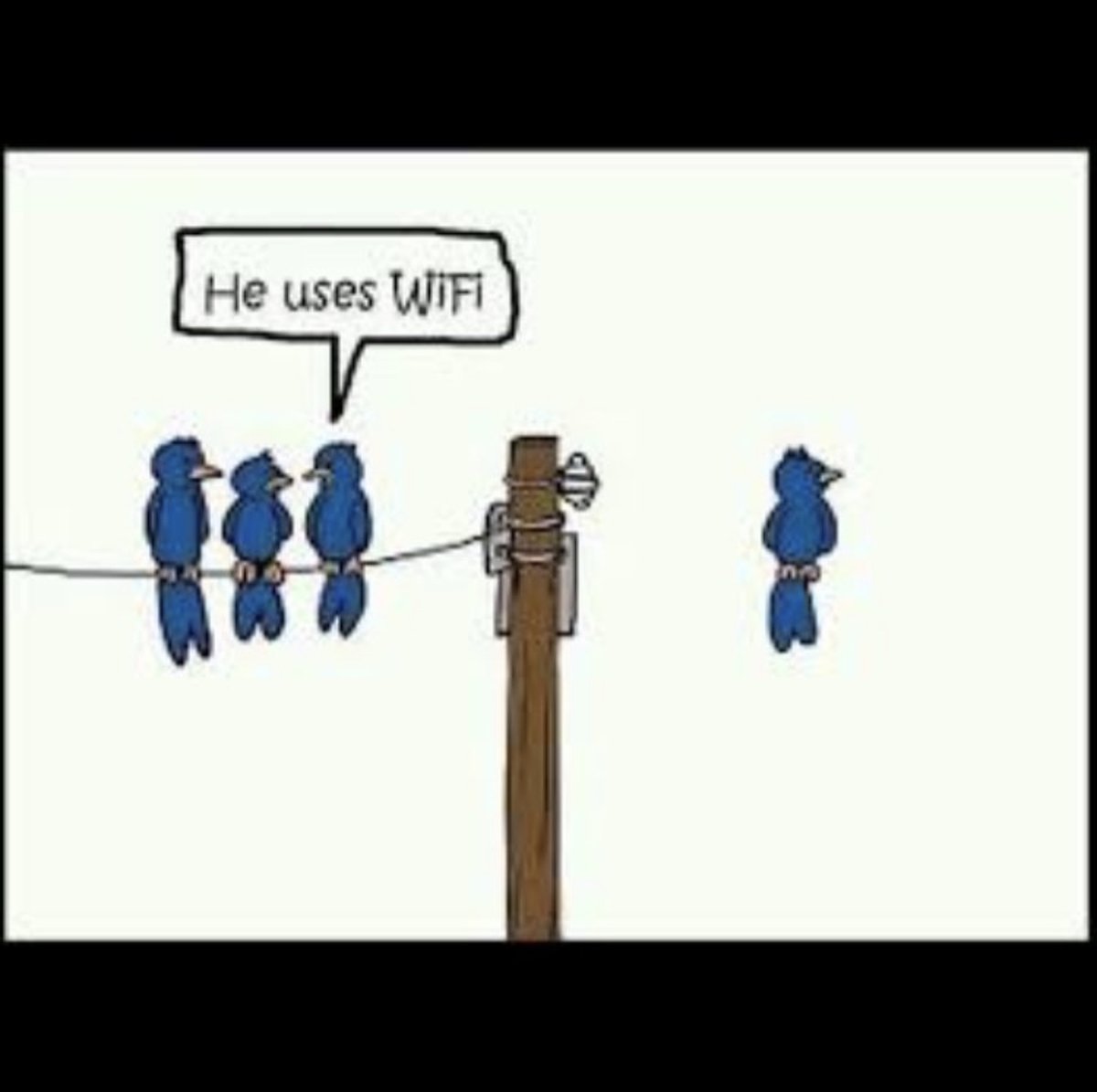 CyberHAWKS_net's tweet photo. Probably time for an upgrade, don't you think?

#techmemes #memes #tech #technology #techmeme #meme #windows #programmingmemes #programming #technews #programmer #techies #memesdaily #windowsmemes #technologynews #computermemes https://t.co/AABVozTXjy