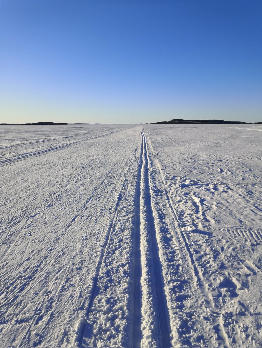 Hyvä on hiihtäjän hiihdellä... #sinitaivas #talvi #suomenluonto #järvisuomi #pohjoiskarjala #höytiäinen