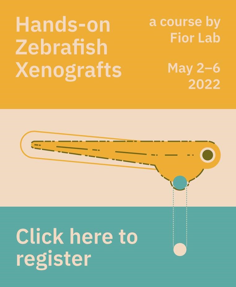 ZDMSociety's tweet photo. Check out this Hands-on opportunity with @ritafior! https://t.co/lKo5MoBqY8
#ZDMS #zebrafish #xenografts #cancer #science https://t.co/uUFoSe9wCU