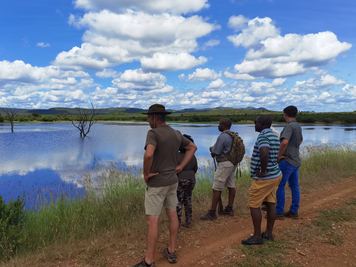 FootSafaris's tweet photo. South Africa's borderlands can be hostile for humans but good for nature.
Madikwe GR has fine terrain and a thriving wildlife population🐘&amp; @MoloriSafari is the perfect venue to swap wheels for feet for a morning or two.

Read more in our news blog👉

https://t.co/rnFNKBsTSG https://t.co/5Lyn2ffBHH