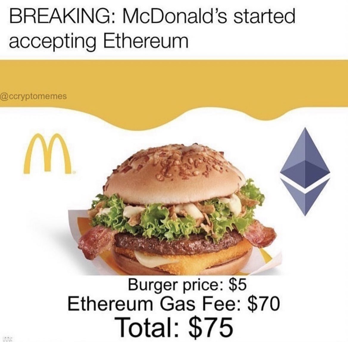 Crypto Rover tweet media