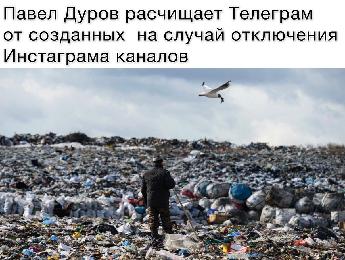 Серёжа (@segakashnikov) on Twitter photo 