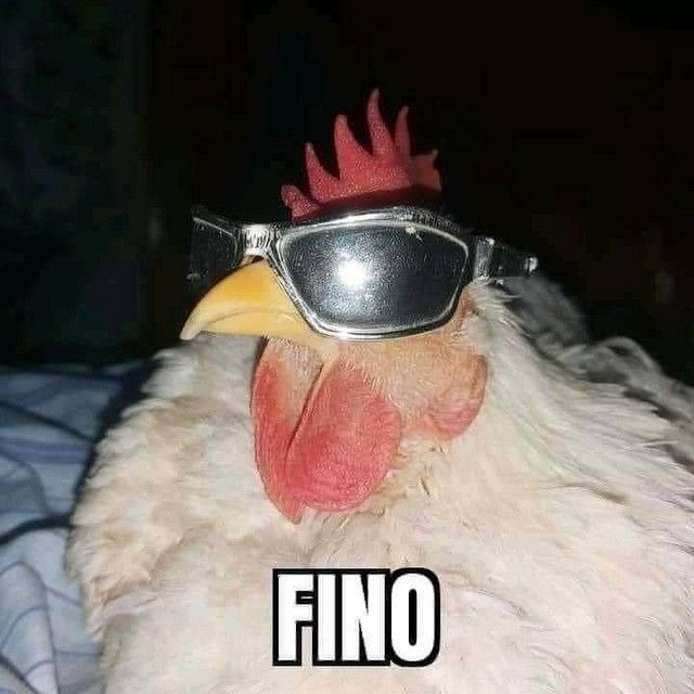 someone (@coingoup) on Twitter photo 