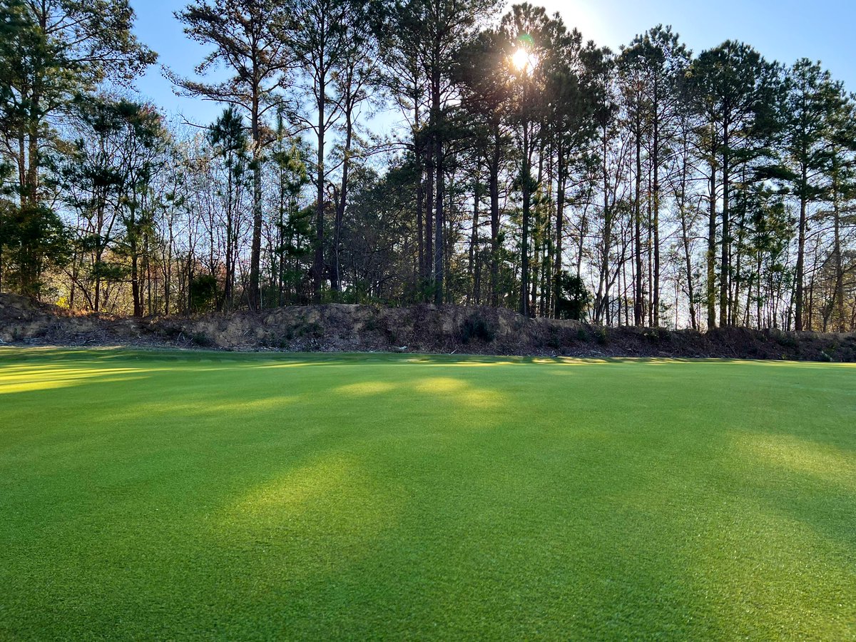 The Loop tweet media