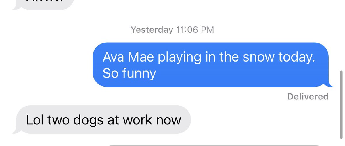 Clara_k11's tweet photo. The saga of Ava Mae continues!! https://t.co/sotG56mctc